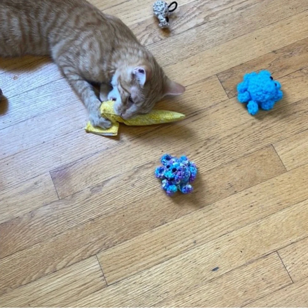 Hand Crafted Turtle Cat Toy Crochet Potent Organic Catnip Interactive Yarn Toy